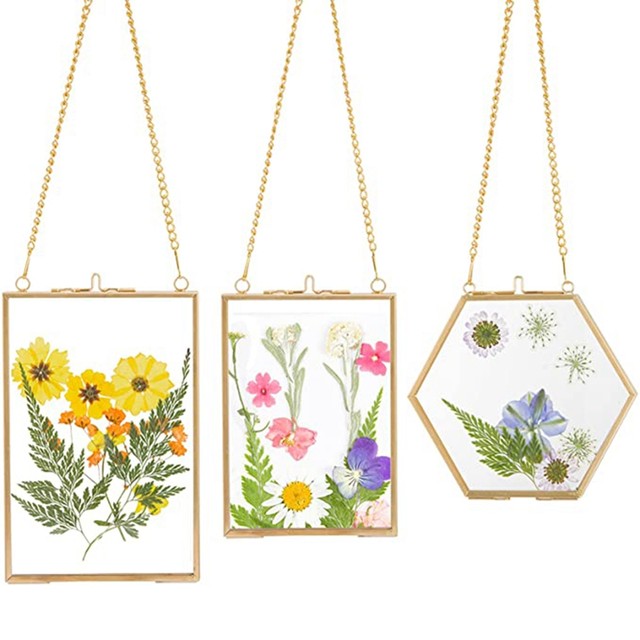 3 Packs Pressed Flowers Glass Frames- Golden Hanging Glass Picture Frames  With Chain Floating DIY Artwork